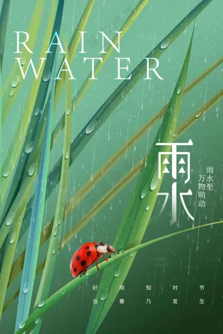 雨水节气传统活动海报