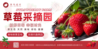 草莓采摘园季节水果优惠展板海报
