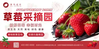 草莓采摘园季节水果优惠展板海报