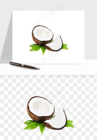椰子椰果水果png免抠