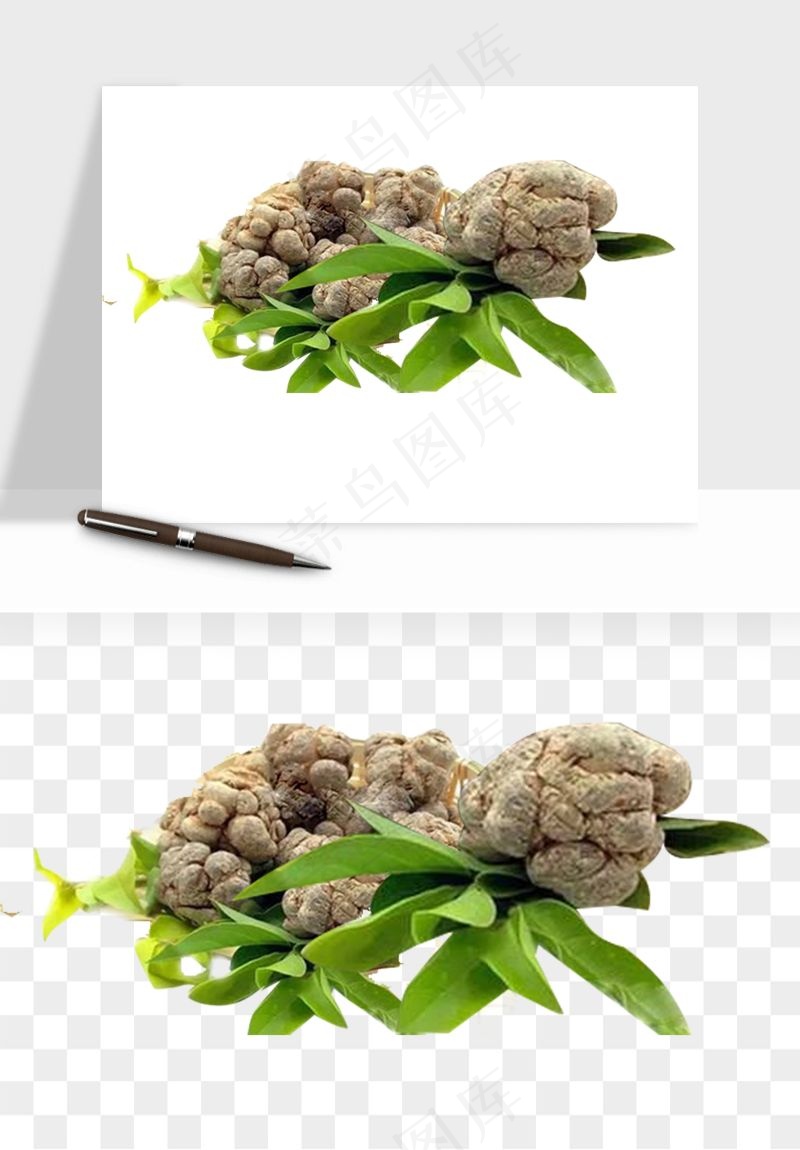 中药养生药材png免抠