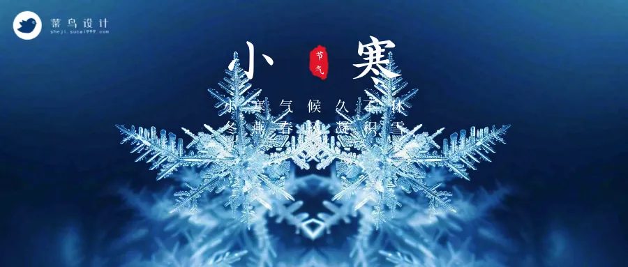 小寒公众号首图