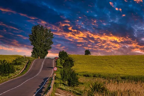 乡村田园公路稻田风景