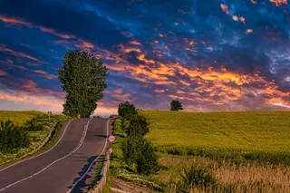 乡村田园公路稻田风景