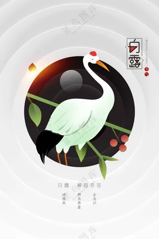 白露节气传统活动海报