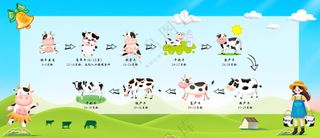 牛奶生产过程海报