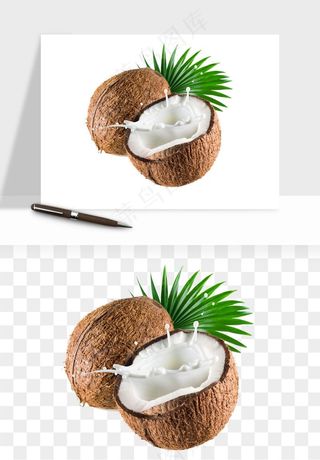 椰子椰果水果png免抠