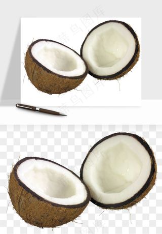 椰子椰果水果png免抠