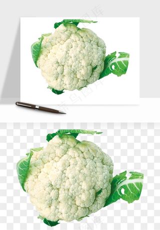花菜椰菜花蔬菜png免抠