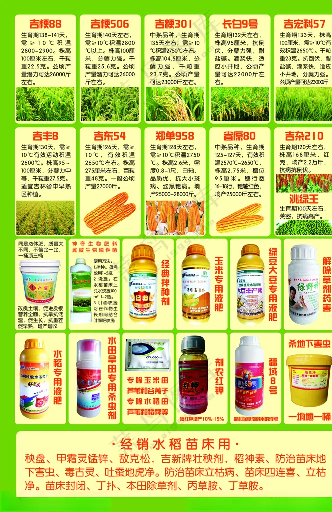 种子化肥农药宣传单农药宣传单吉丰8