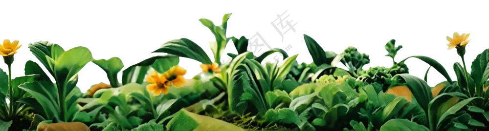 菜地插图背景免扣