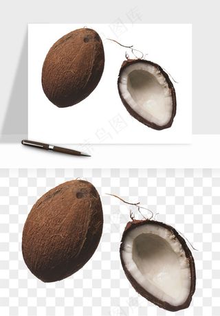 椰子椰果水果png免抠