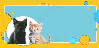 宠物常识宠物攻略猫狗卡通插画背景