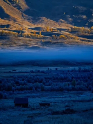 晨曦中的田园诗意：蓝金色调