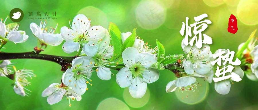 惊蛰公众号首图