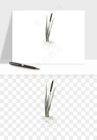 植物芦苇蒲苇香蒲png免抠
