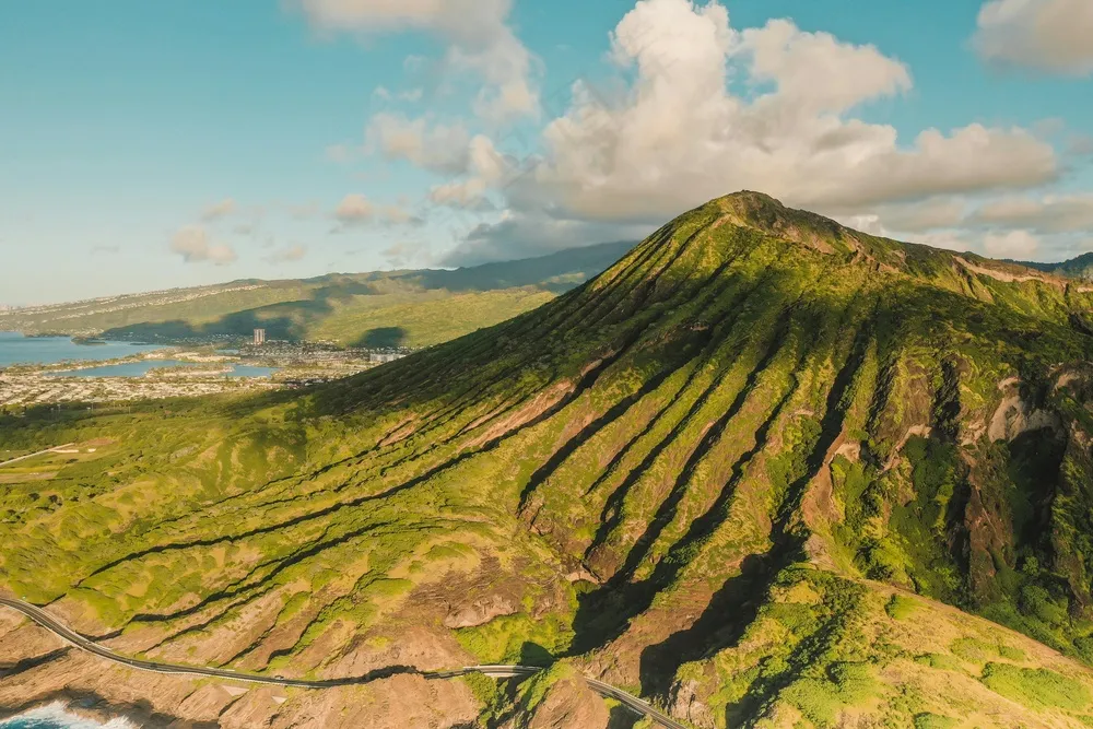 金色麦田的诗意风光