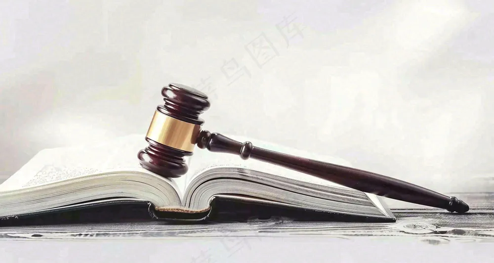 律师咨询日