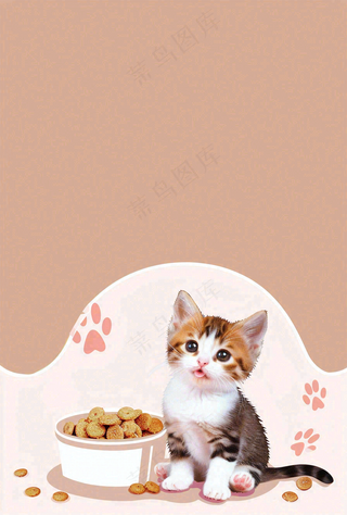 宠物常识宠物攻略猫狗卡通插画背景