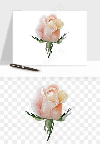 水彩复古花卉png免抠