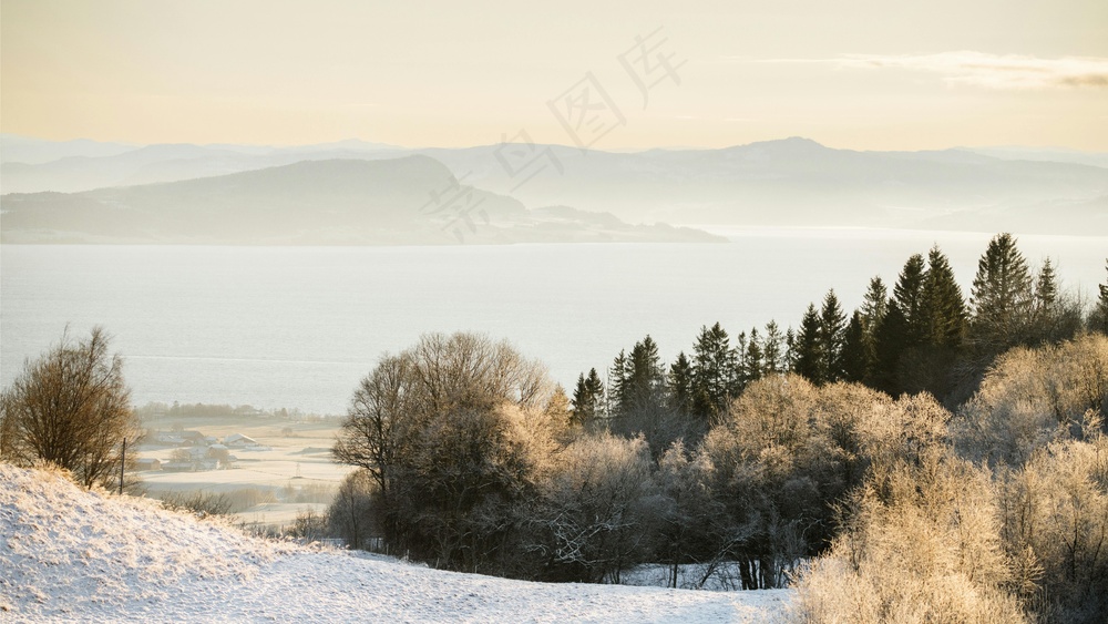 冬日湖畔的宁静风景