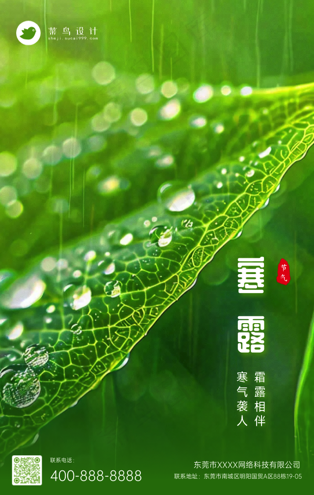 寒露手机海报