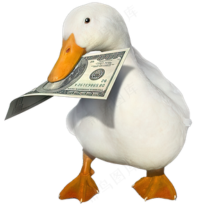 png免抠搞笑有趣动物