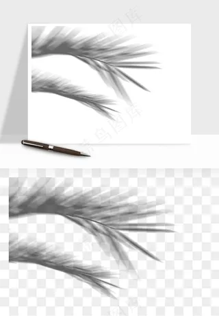 阴影植物窗户投影免抠元素