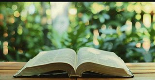 大自然绿色阅读书本世界读书日摄影图