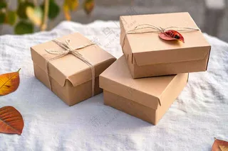 秋季金黄南瓜感恩节摄影图