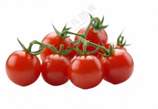西红柿小番茄免抠