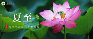 夏至公众号首图