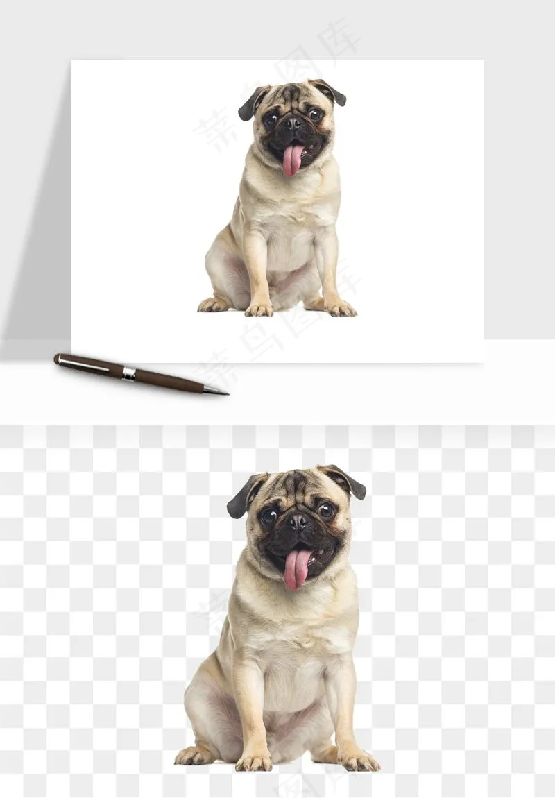 猫咪喵星人狗狗宠物元素png免抠