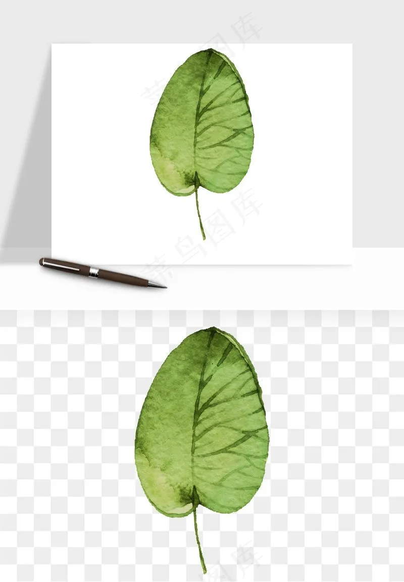 清新手绘植物png免抠