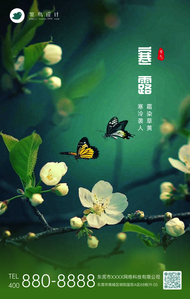 寒露手机海报