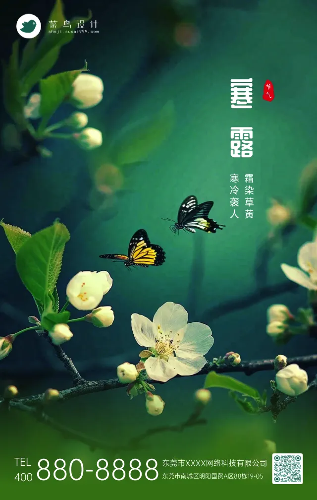 寒露手机海报