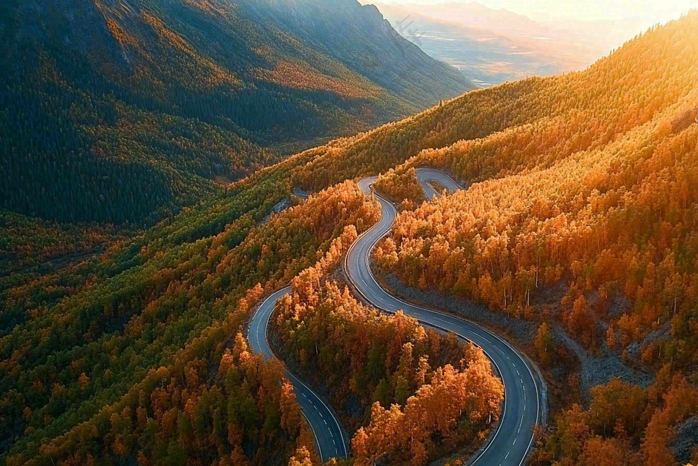 秋天森林蜿蜒的公路大自然风光摄影图