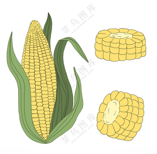玉米插画素材卡通形象PSD海报
