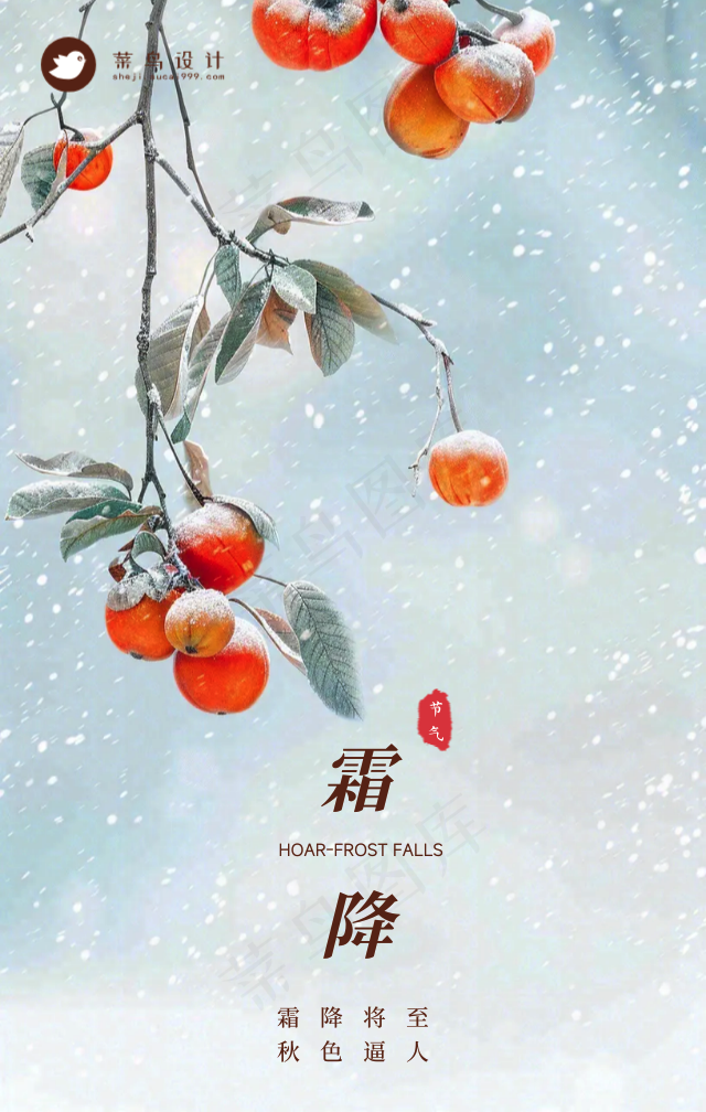 霜降手机海报