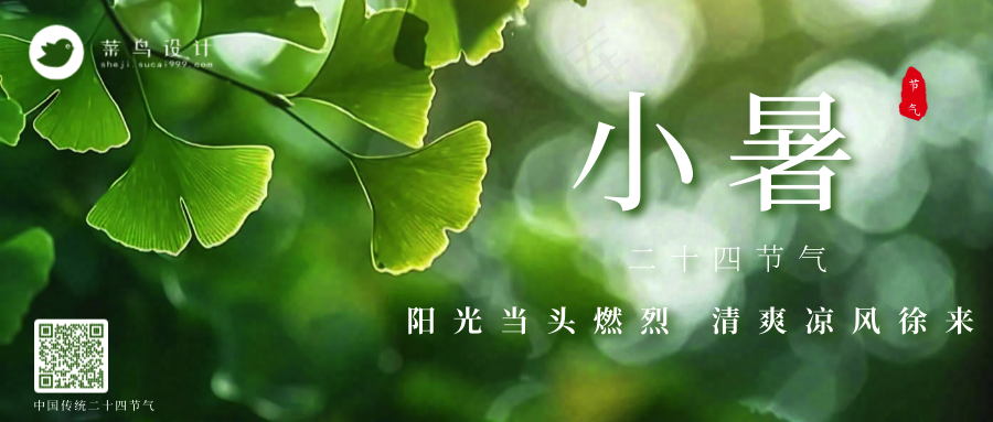 小暑公众号首图