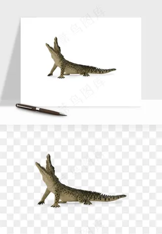 鳄鱼动物png免抠