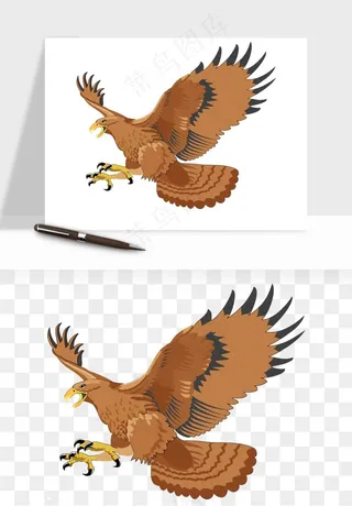老鹰雄鹰展翅png免抠