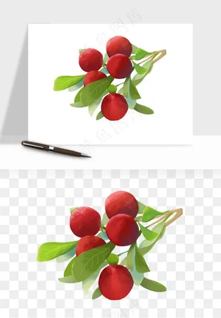 杨梅采摘水果png免抠