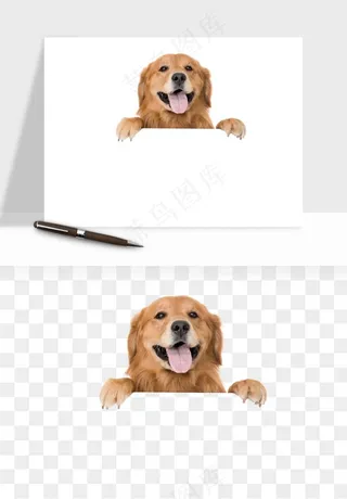 猫咪喵星人狗狗宠物元素png免抠