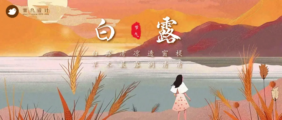 白露公众号首图