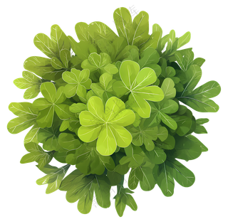 树顶景观-充满活力的绿叶