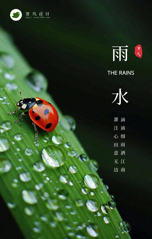 雨水手机海报
