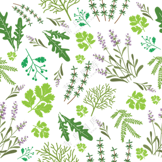 多种植物绿叶枝蔓无缝拼接免抠素材