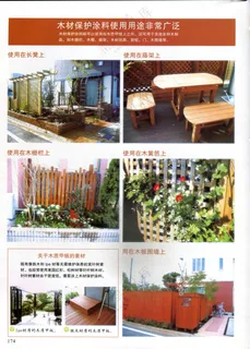 绿色葱郁的门庭和外周