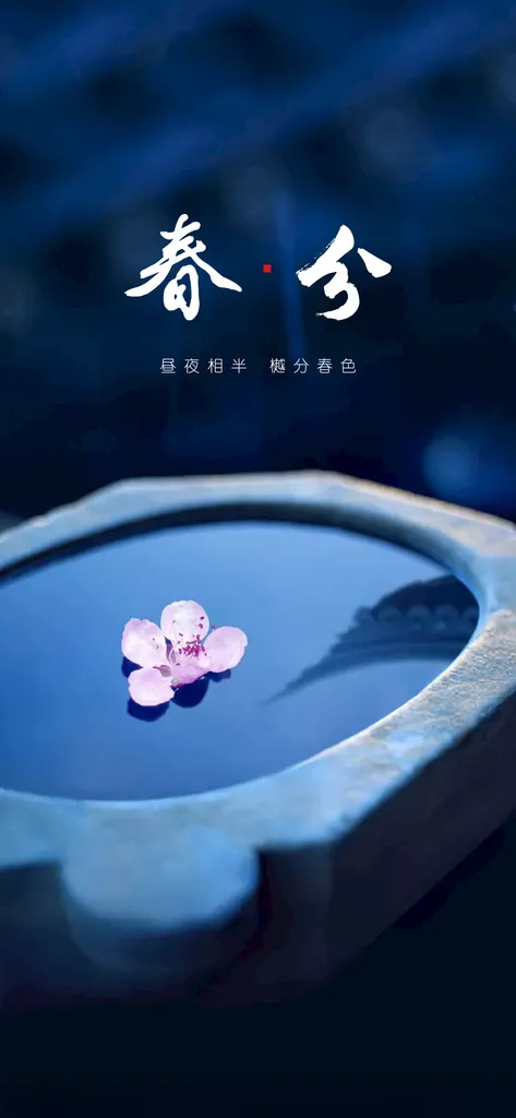 春分日签海报朋友圈海报
